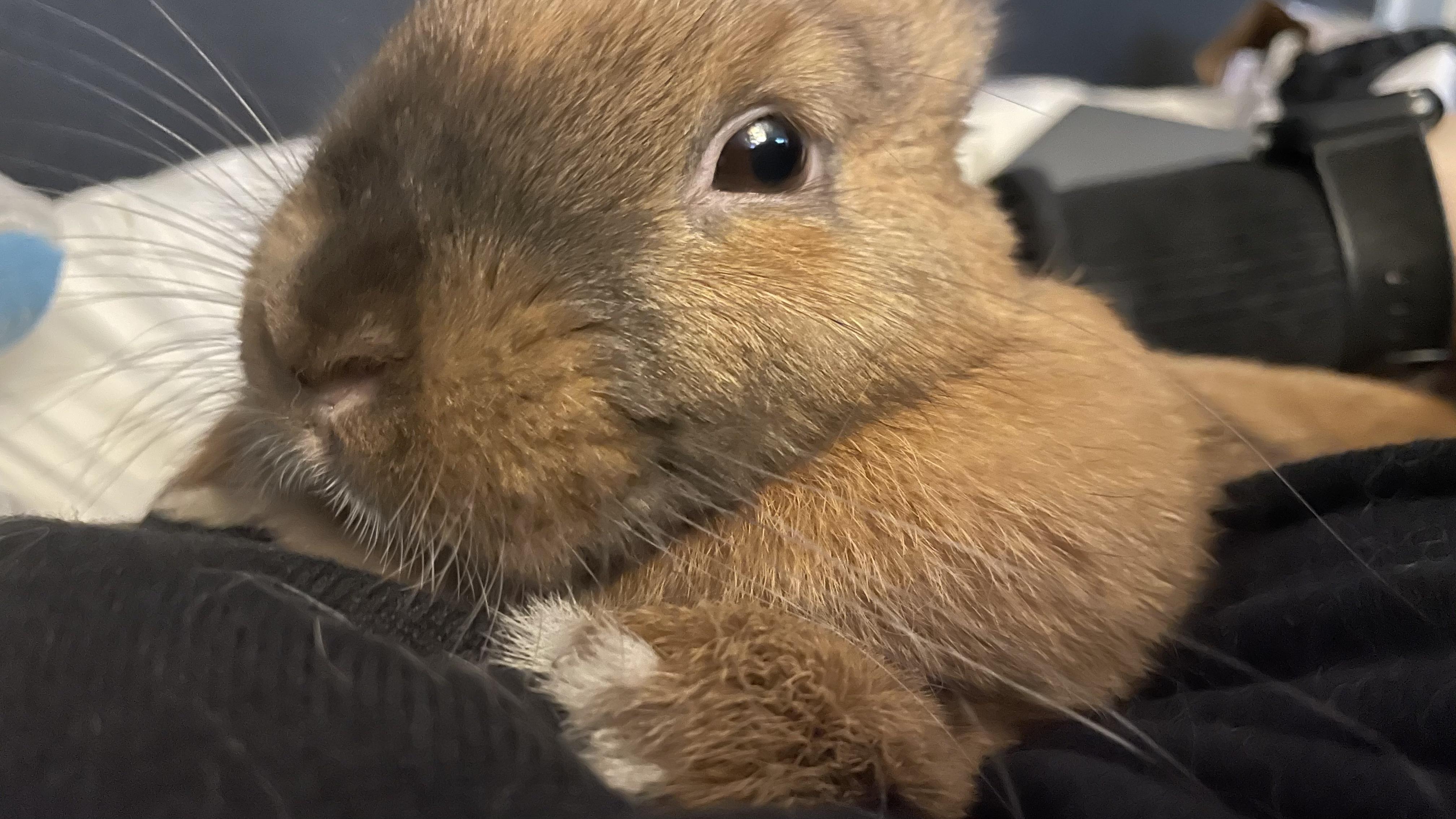 Charlie