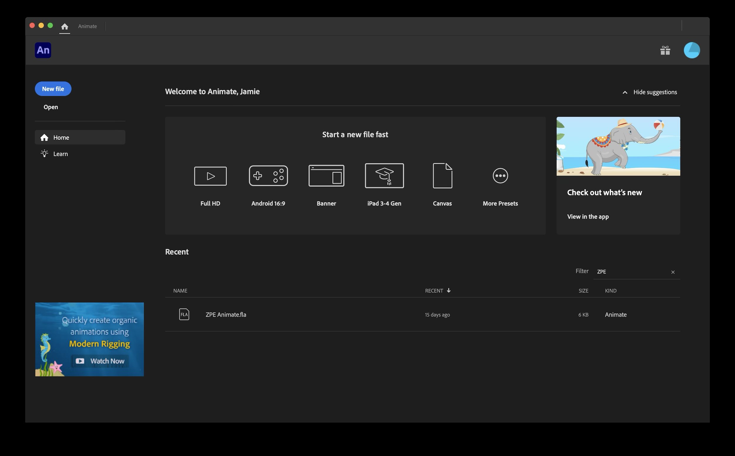 Adobe Animate